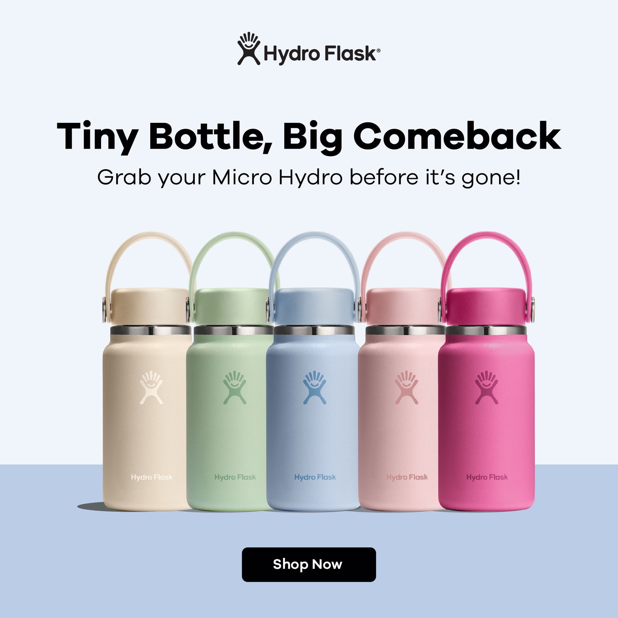 newsletter link icon