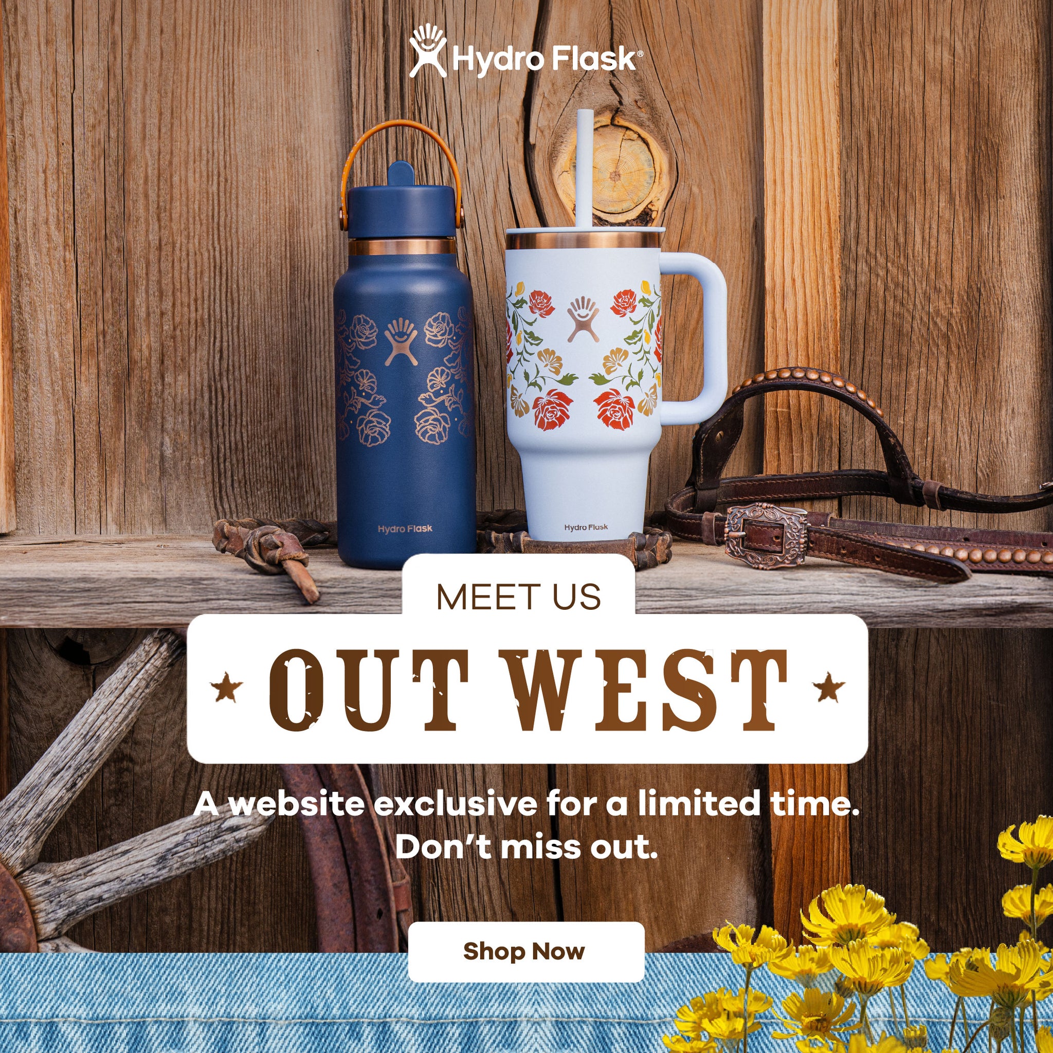 newsletter link icon