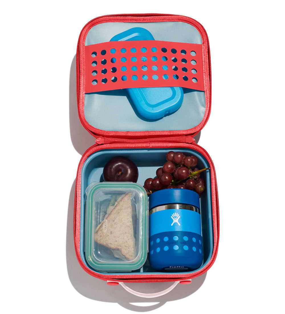 HYDRO FLASK Hydro Flask Kids Small Lunch Box Goji