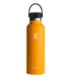 HYDRO FLASK 21 OZ STANDARD FLEX CAP KR-STARFISH