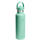 Hydro Flask HYDRO FLASK 21OZ STANDARD FLEX STRAW CAP MERMAID GREEN