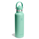 Hydro Flask HYDRO FLASK 21OZ STANDARD FLEX STRAW CAP MERMAID GREEN