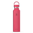 Hydro Flask HYDRO FLASK 24OZ STANDARD FLEX CAP POPSTAR PINK