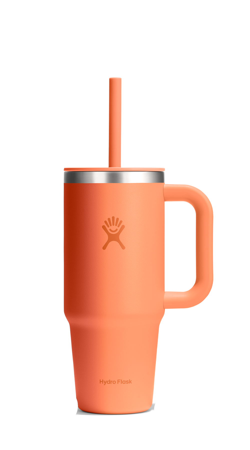 Hydro Flask Philippines - top cat image A3