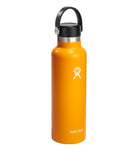 Hydro Flask Standard Flex Cap Water Bottle