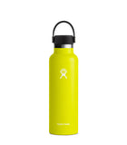 HYDRO FLASK 21 OZ STANDARD FLEX CAP CACTUS