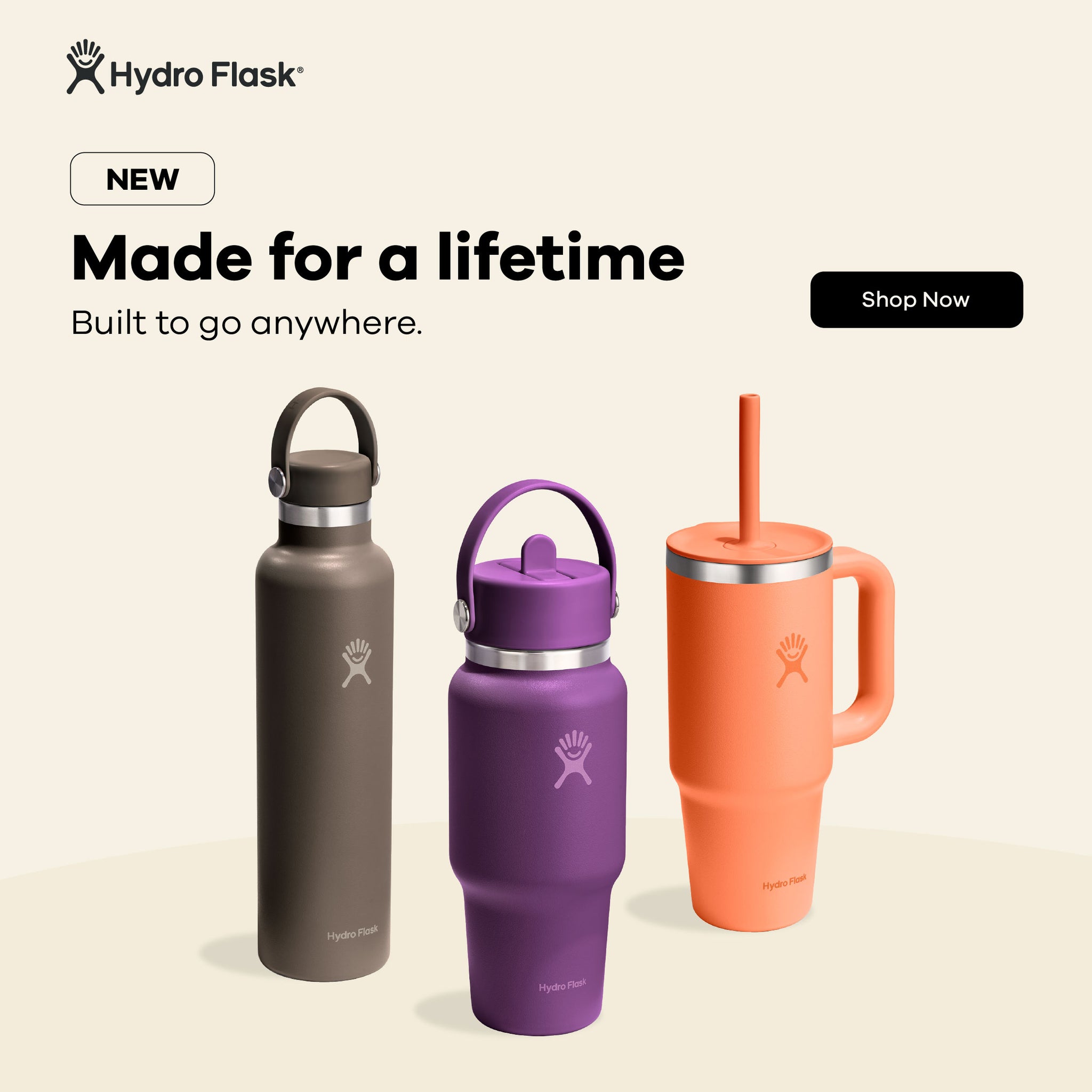 newsletter link icon