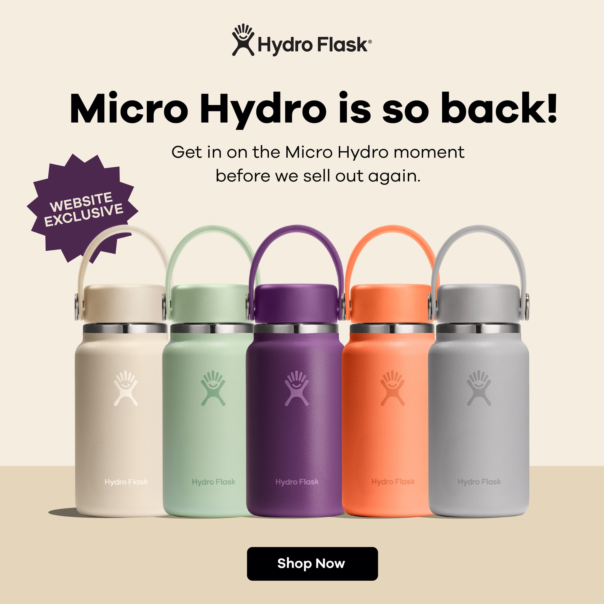 newsletter link icon