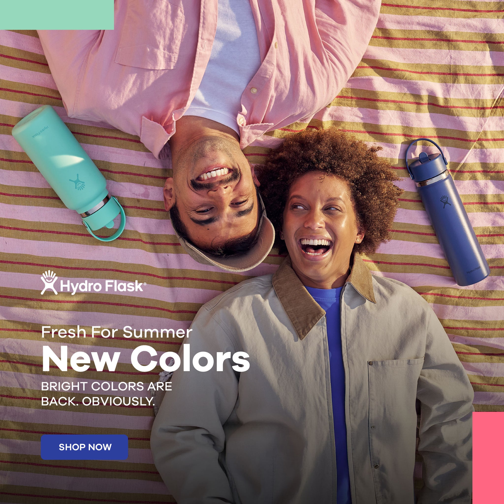 newsletter link icon